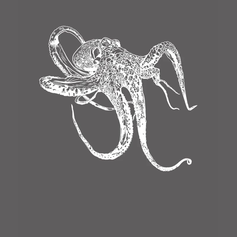 OCTOPUS octopus drawn gift diving vacation