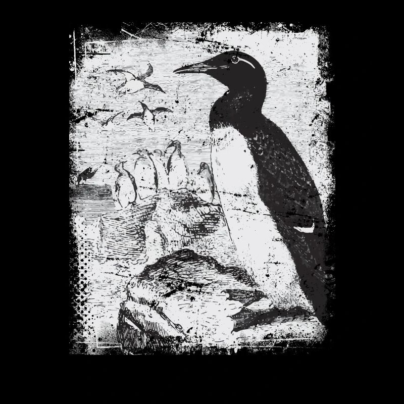 Pinguin Antarktis