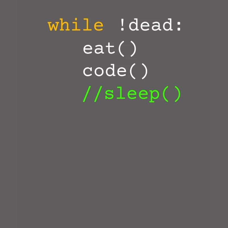 Programmierer Geschenk