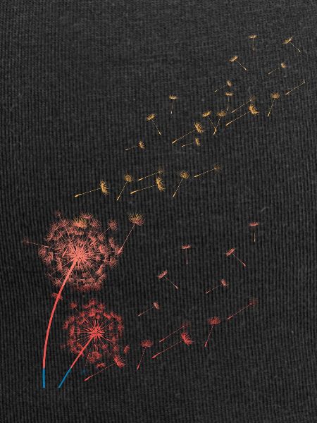 of grass, dandelion, dandelion