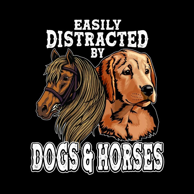 Slightly distracted by dogs and horses