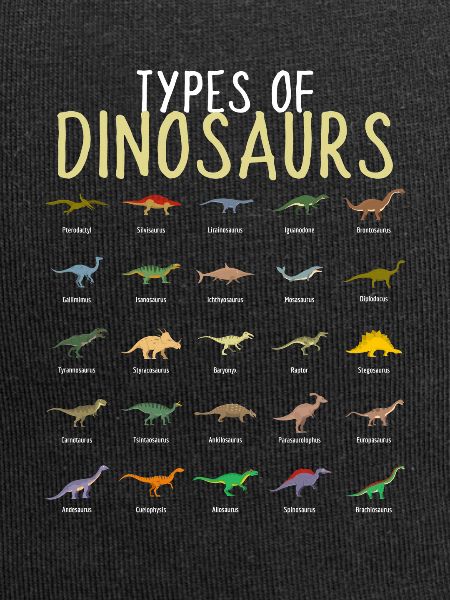 Types Of Dinosaurs Dino Kids Boys