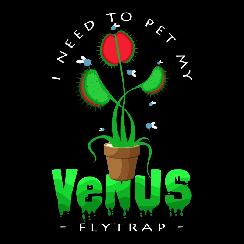 Je nourris mes mouches Venus flytrap