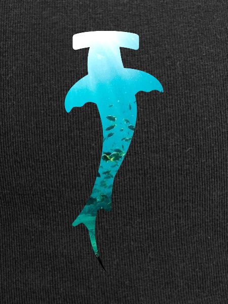 Hammerhead diving