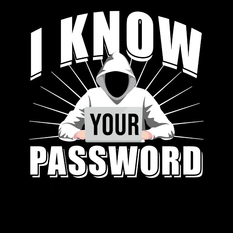 Cadeau de mot de passe de cybersécurité pirate