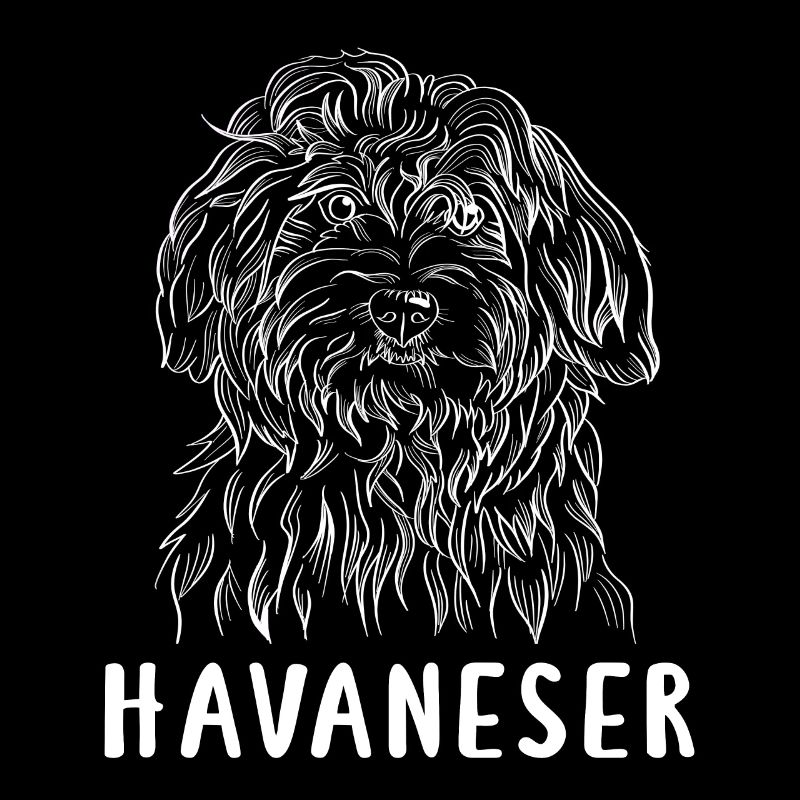 Havanese white