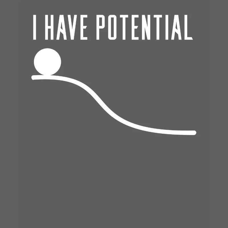 Physics physicist potential gift idea