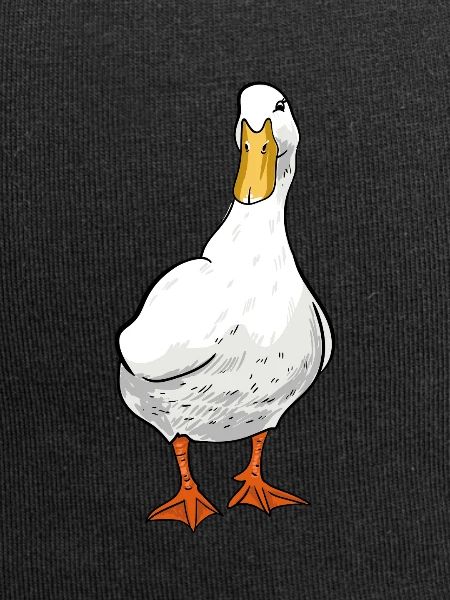 canard