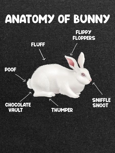 Bunnies rabbits easter