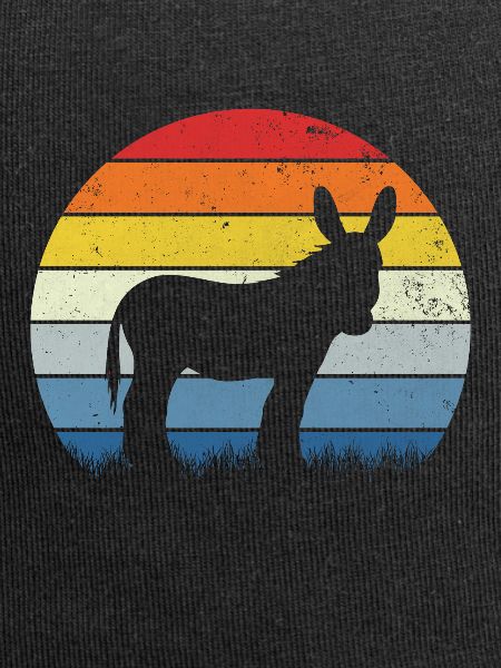 Donkey retro