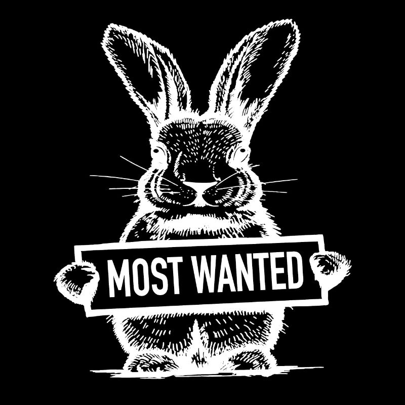 Easter Most Wanted Rabbit Rabbit Owner Gift