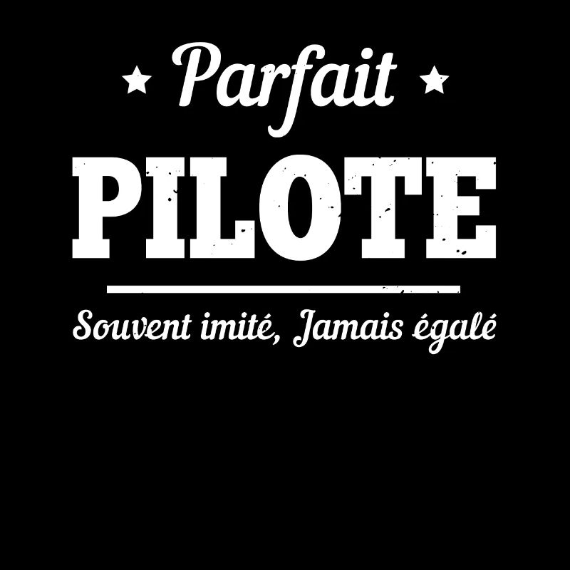 Parfait Pilote d'Avion