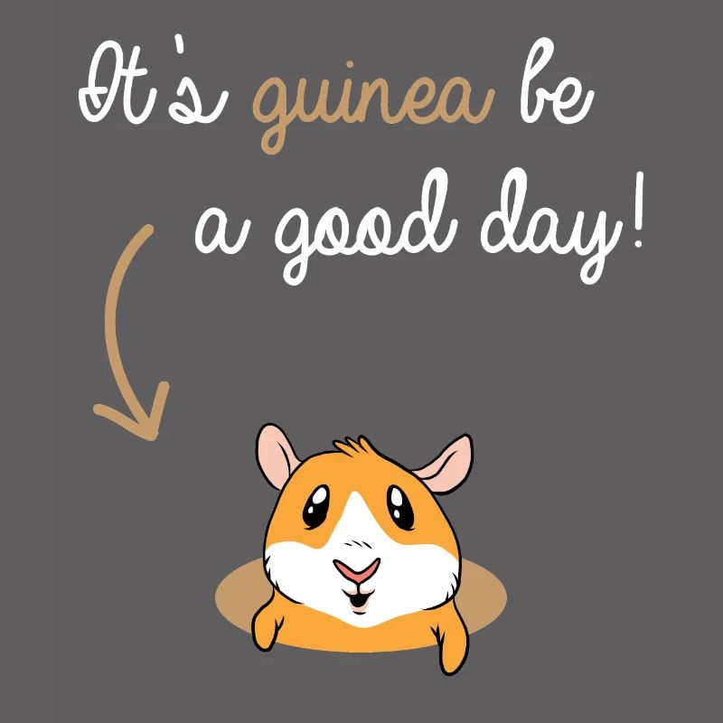 Cochons d'Inde Rosette Cochons d'Inde