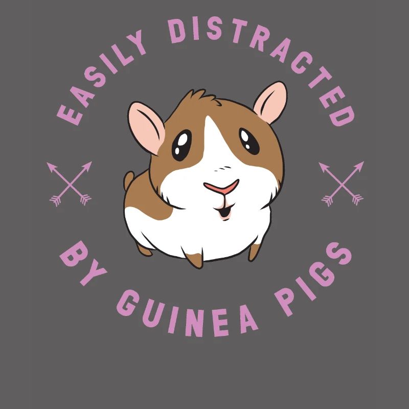 Cochons d'Inde Rosette Cochons d'Inde