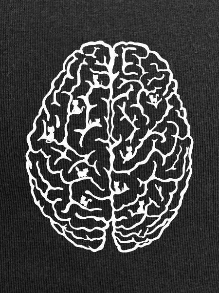 Cat brain