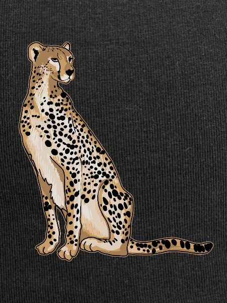 Gepard