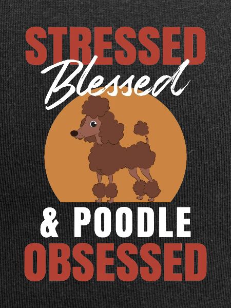 Pudel Poodle