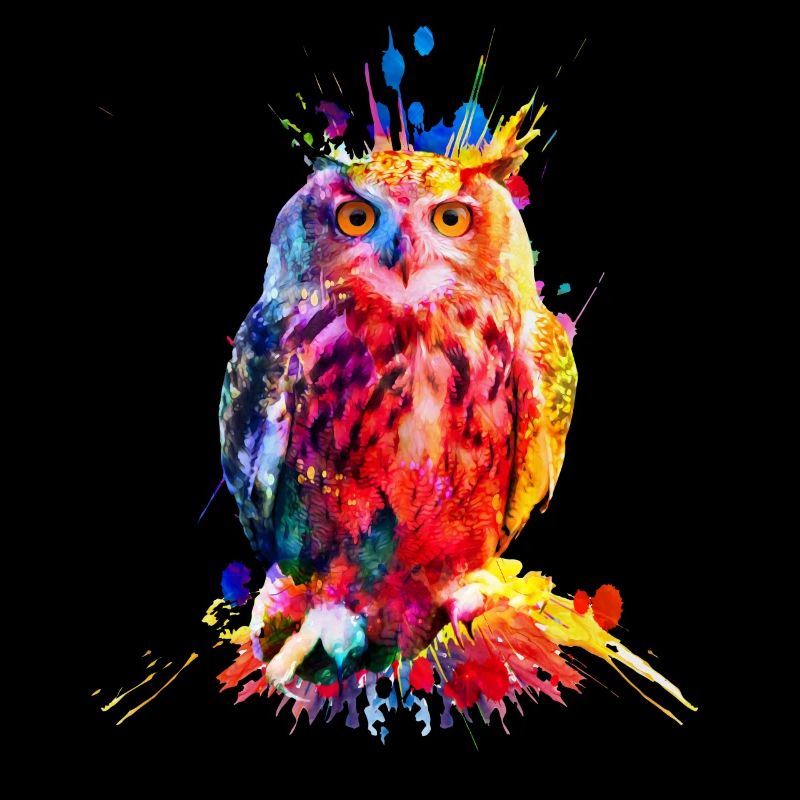 Bunte Eule, Aquarell