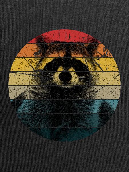 raccoon