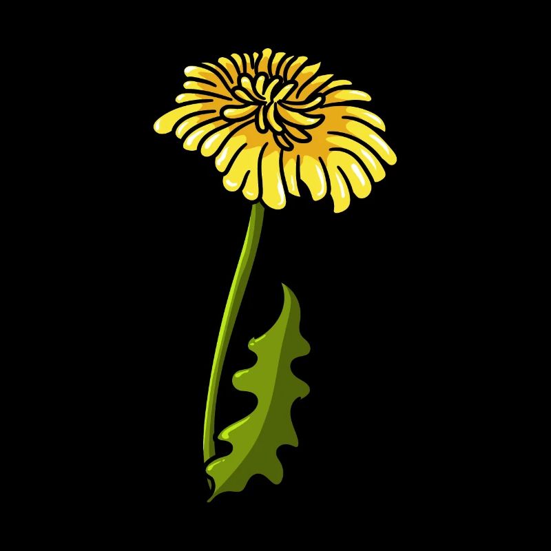 dandelion