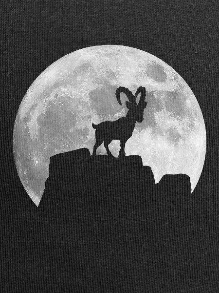 Mond Steinbock