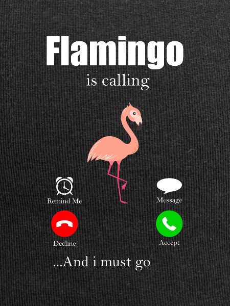 Flamingo