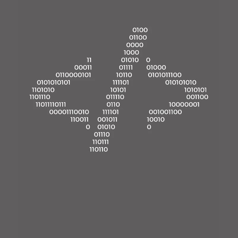 Hacker Hacking Code Computer Java Spruch Geschenk