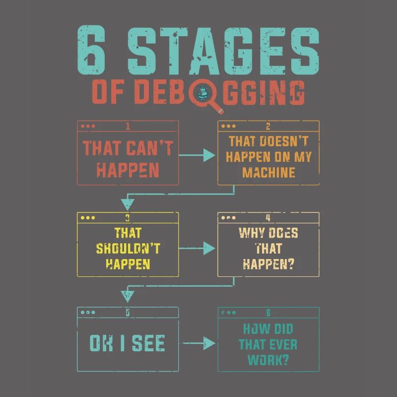 Programming 6 Stages of debugging