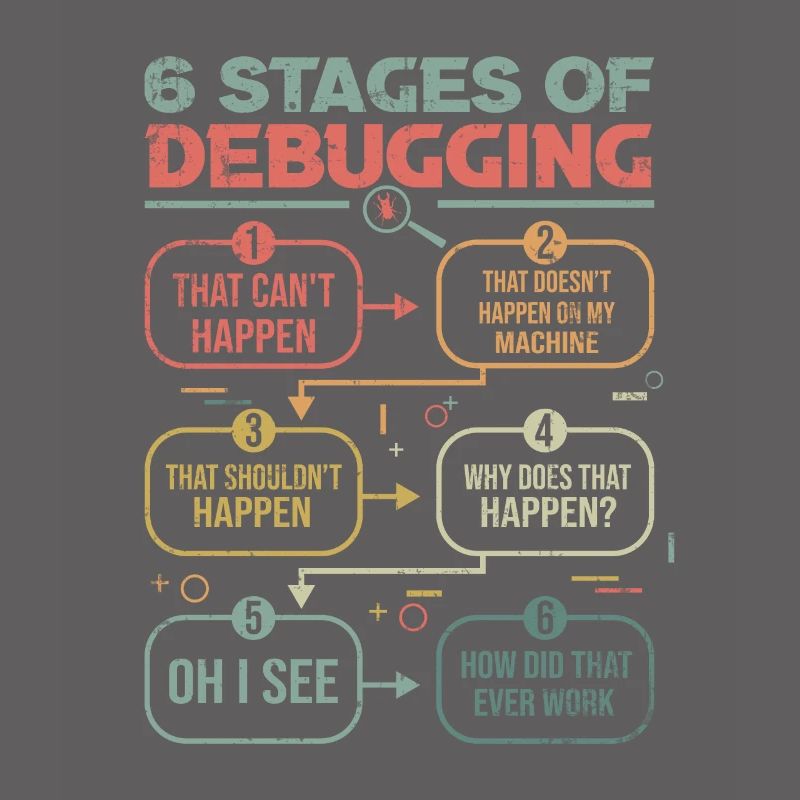 Programmer Gift Idea 6 stages of debugging