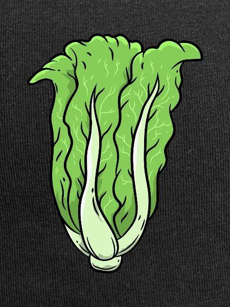 Cabbage Vegetables