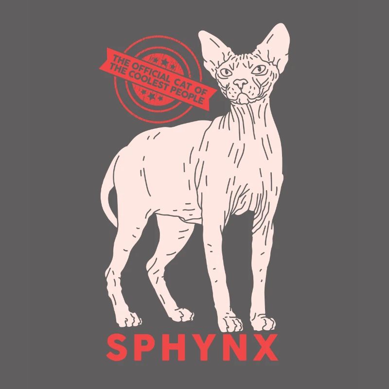 Sphynx chat sphinx cadeau de chat