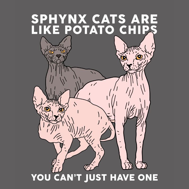 Sphynx Chats Sphinx | Cadeau de propriétaire de chat