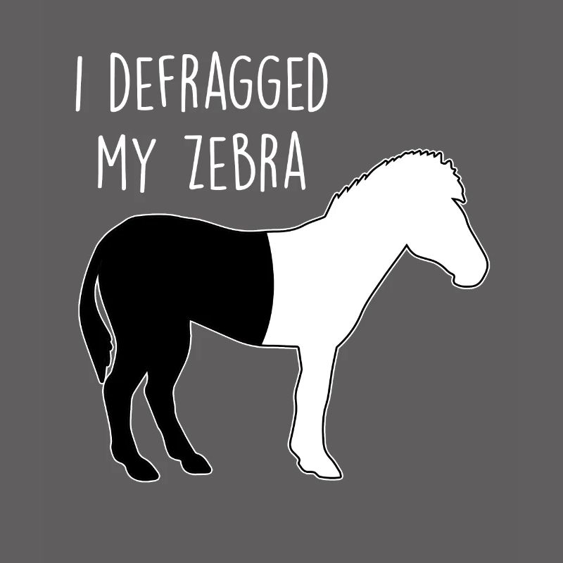 I defragged my Zebra Coder Informatiker Hacker