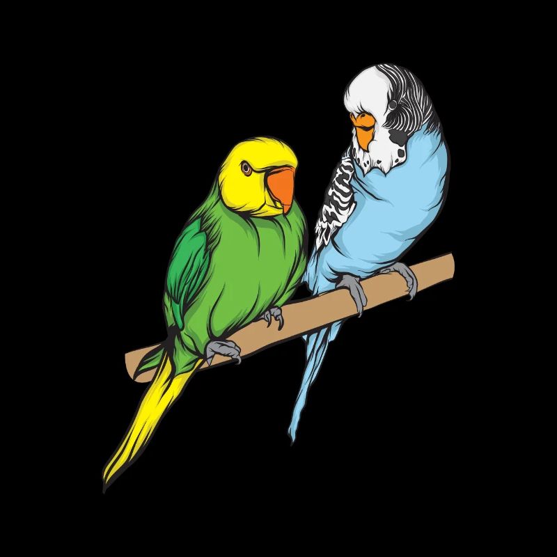 Budgerigar