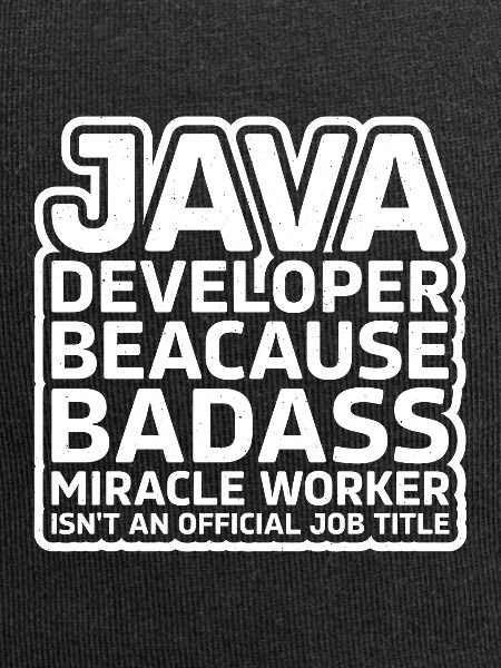 Java Developer Badass