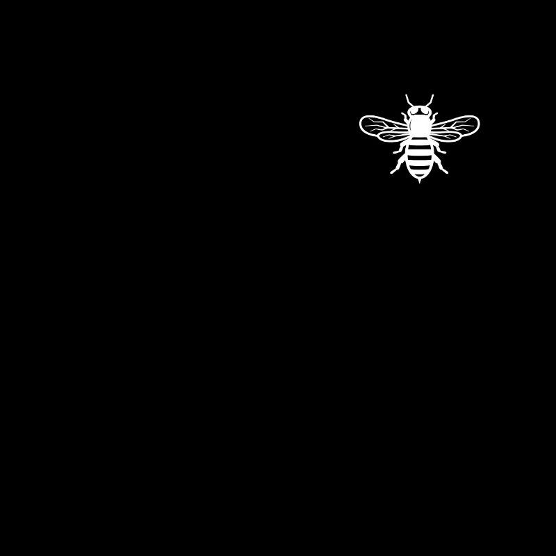Bees Beekeepers Bees Queen Honey bees Beekeeping