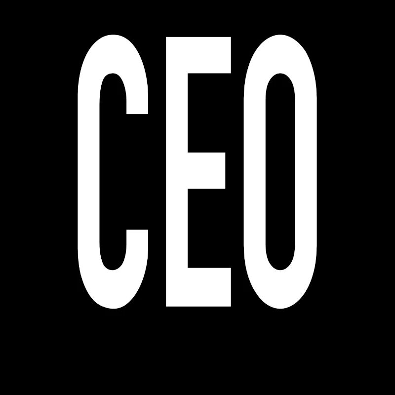 PDG - Chef de la direction des affaires