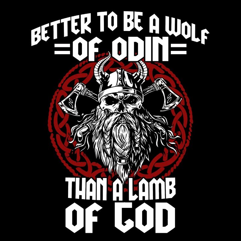 Viking Odin Germanic Mythology Odin's Warrior