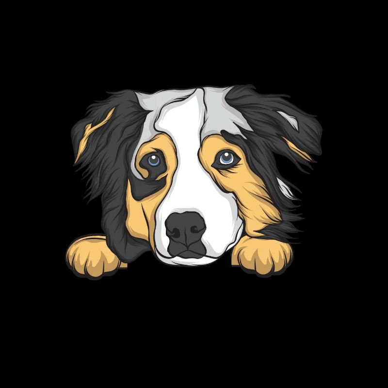 Australian Shepherd