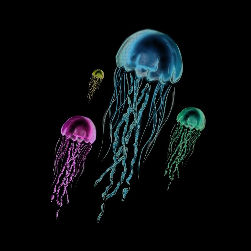 Jellyfish