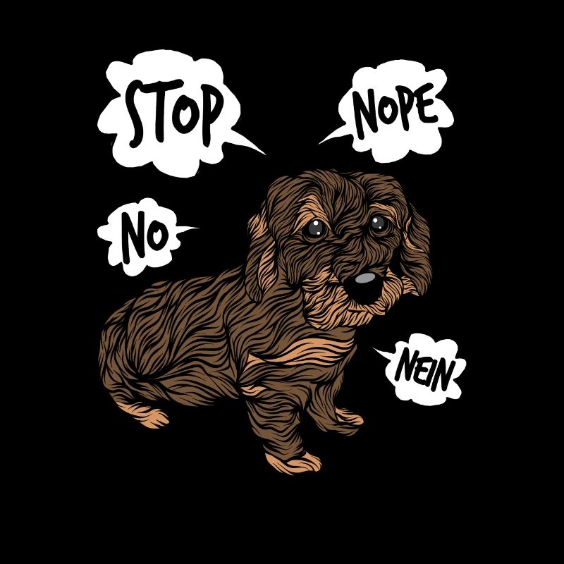 Rough-haired dachshund