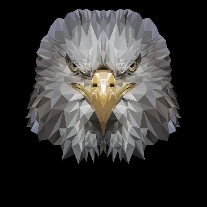 Aigle Polygone Oiseau de proie