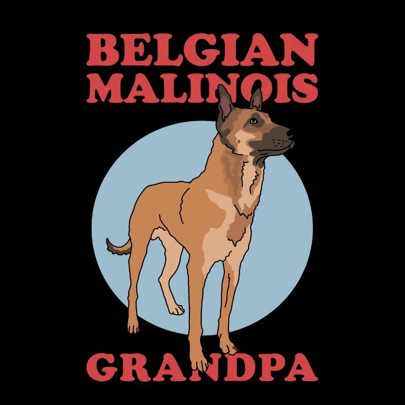 Belgian Malinois Grandpa Belgian Shepherd