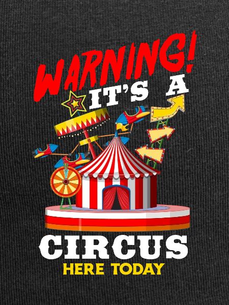Circus Birthday Party