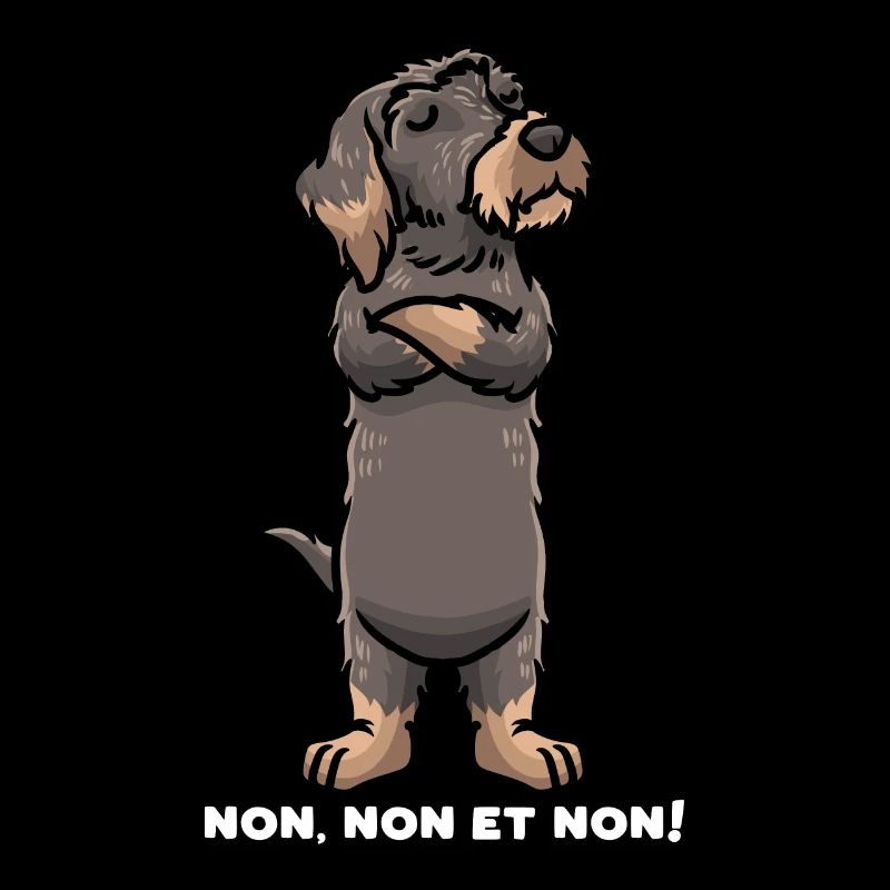 Teckel à Poil Dur Chien