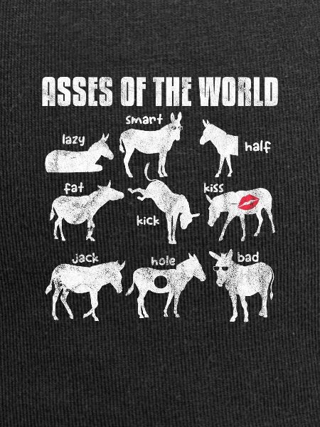Donkey