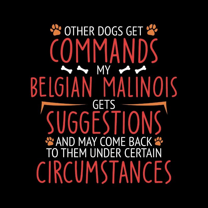 Malinois belge commande Berger belge