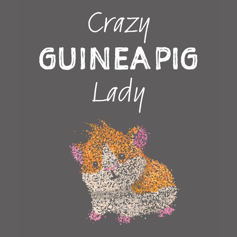 Cochon d’Inde Lady Cochon d’Inde Animal de compagnie