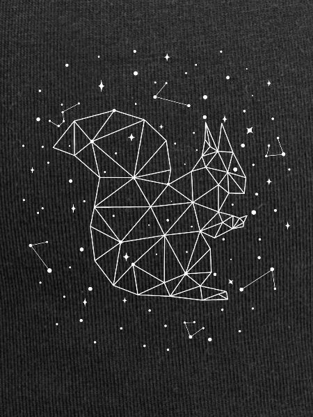 Sternbild Squirrel Constellation Squirrel