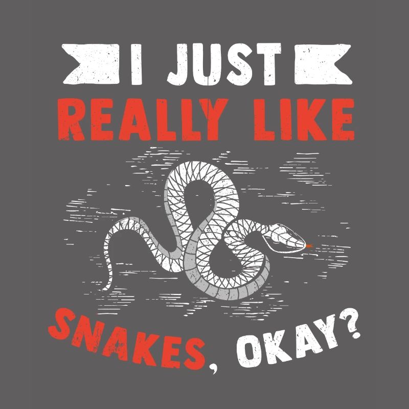 Schlange Geschenk Tier Reptil Cobra Python Boa